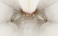 2014 03 25 Brown Diamond 10-white.jpg